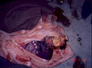 pali_pic12.jpg (9052 bytes)