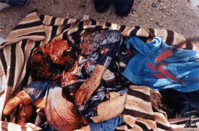 pali_pic8.jpg (16497 bytes)